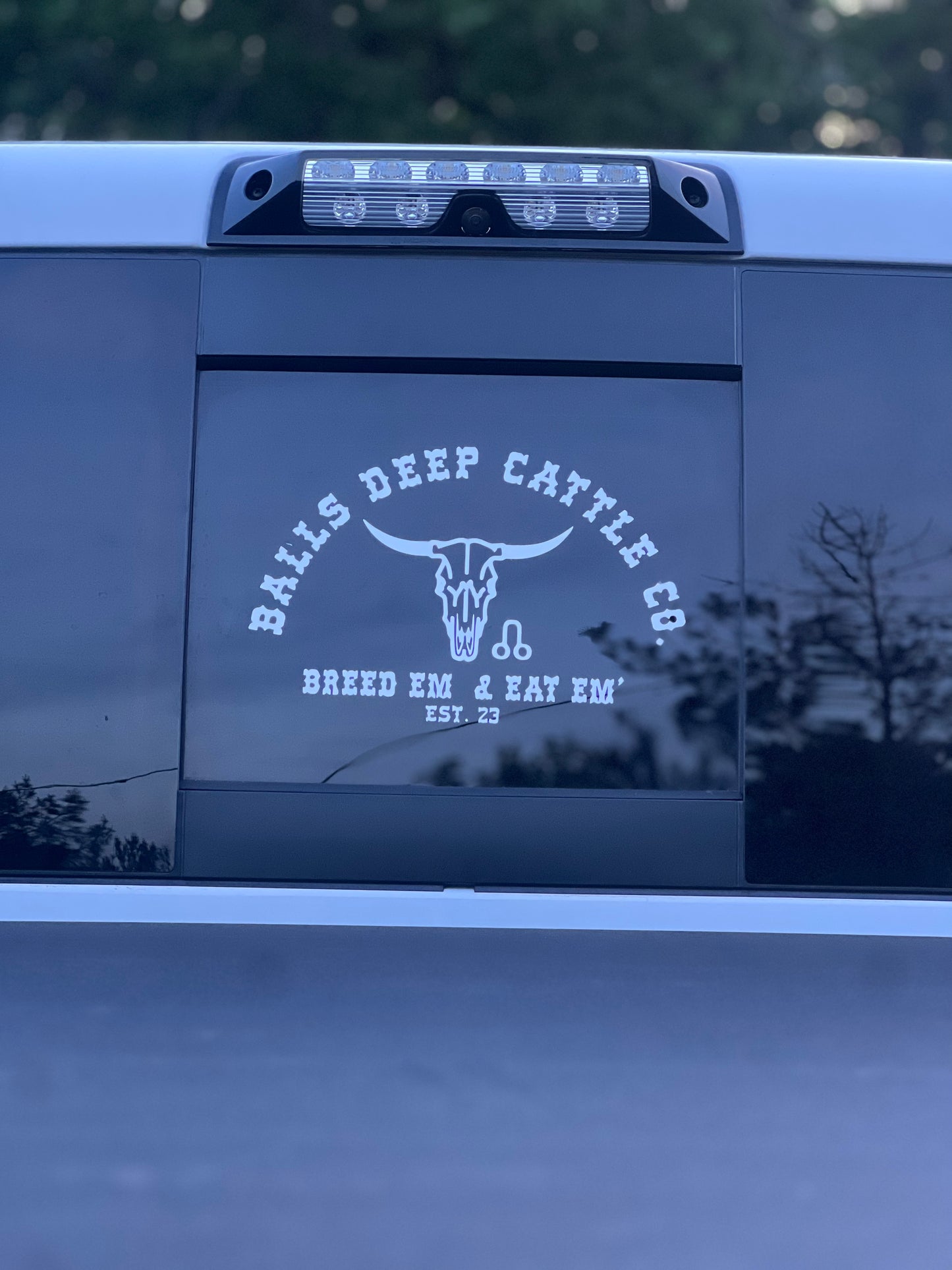 Window Decal